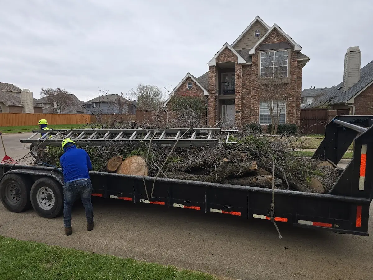 Expert Tree Fertilization with proper safety equipment in Hayes Center